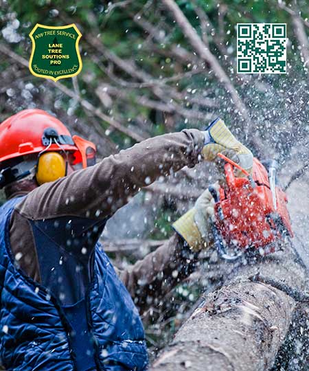 Tree Service in Pleasant Hill -